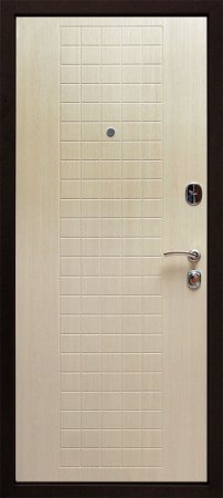 Входная дверь Кинетик