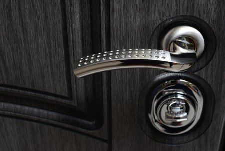 Входная дверь Ла Скала