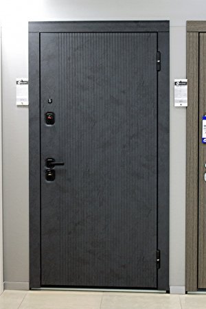 Входная дверь Монблан