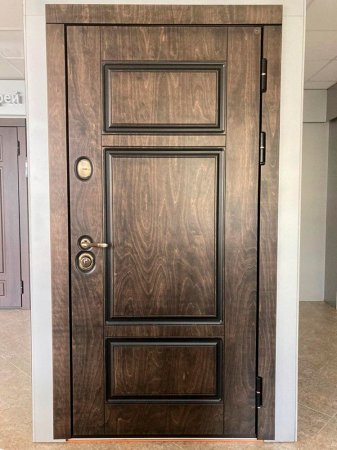 Входная дверь Береза