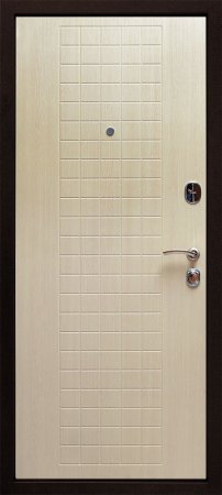 Входная дверь Кинетик