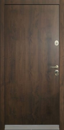 Входная дверь Береза