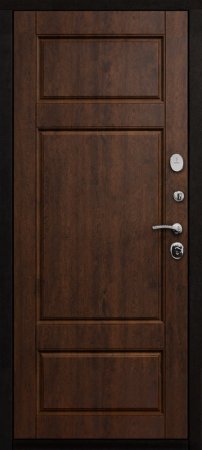 Входная дверь Деко