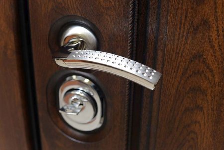 Входная дверь Эрмитаж