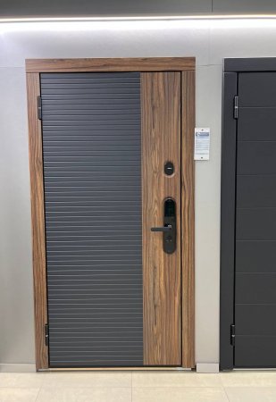 Входная дверь Аркана