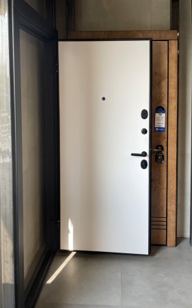 Входная дверь Лофт Входная дверь Лофт