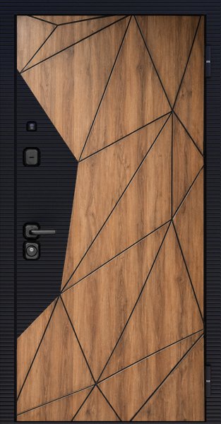 Входная дверь Космос