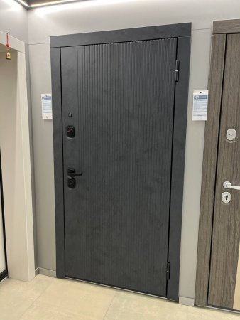 Входная дверь Монблан