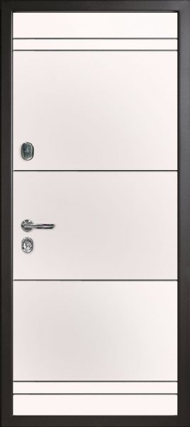 Входная дверь Дарк