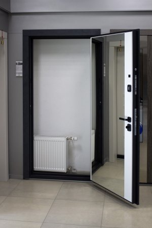 Входная дверь Монблан