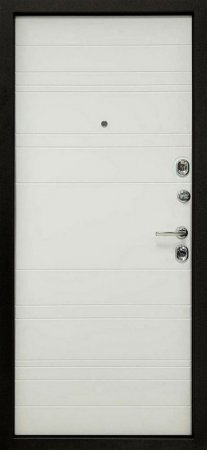 Входная дверь Фортуна