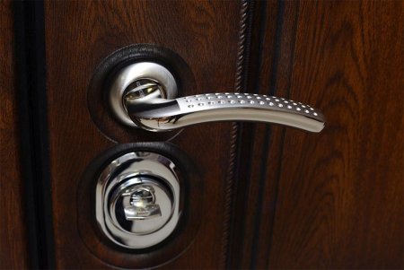 Входная дверь Эрмитаж