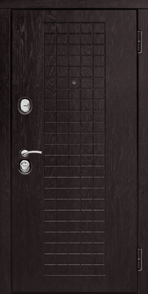 Входная дверь Кинетик